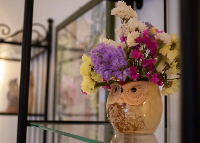 Del Gufo Bed & Breakfast Civezza