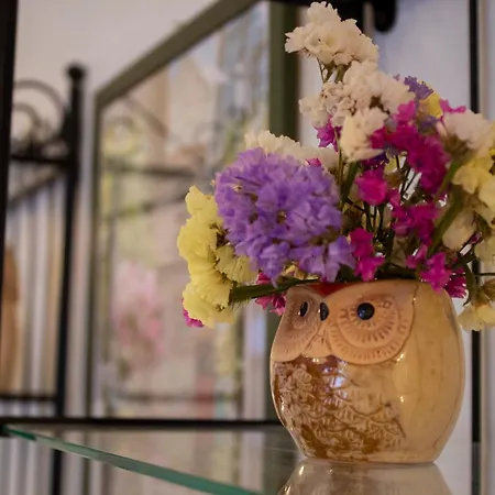 Del Gufo فندق مبيت وإفطار Civezza